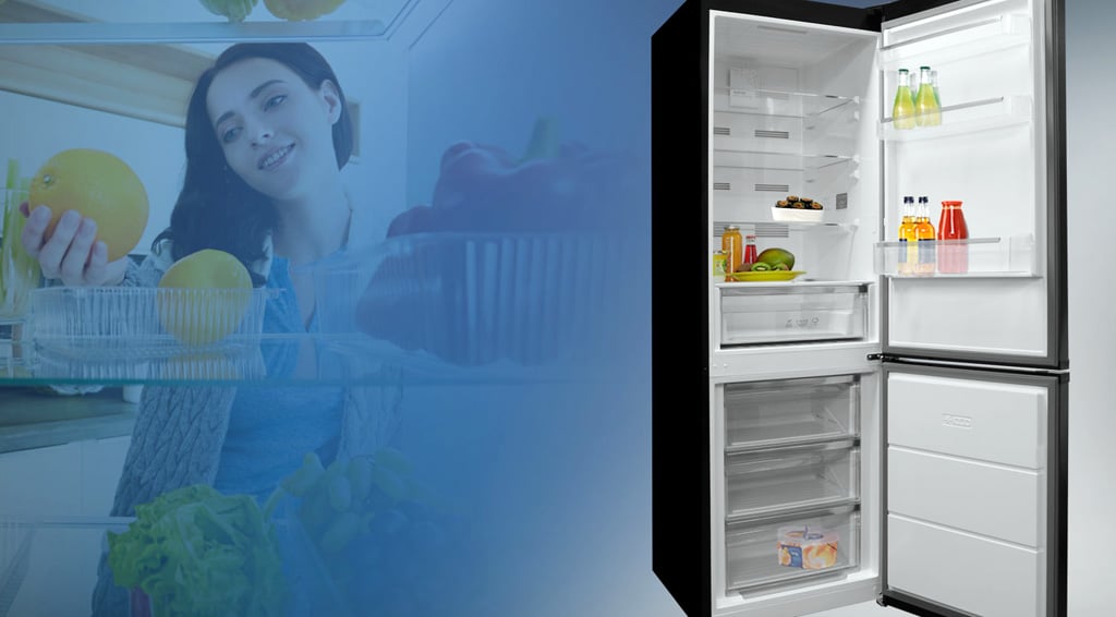 Podľa čoho vybrať chladničku a ako do nej ukladať potraviny, Orava