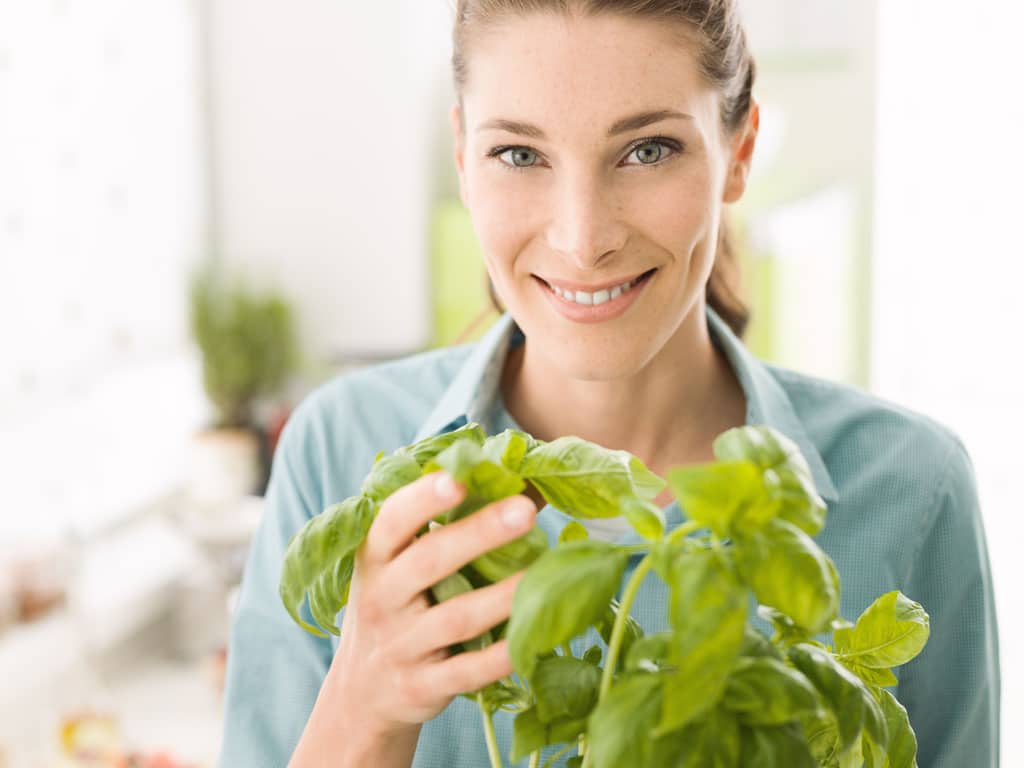 3 tipy ako dopestovať bylinky v interiéri bytu alebo domu