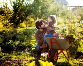 Dva najdôležitejšie kroky pre zazimovanie záhrady