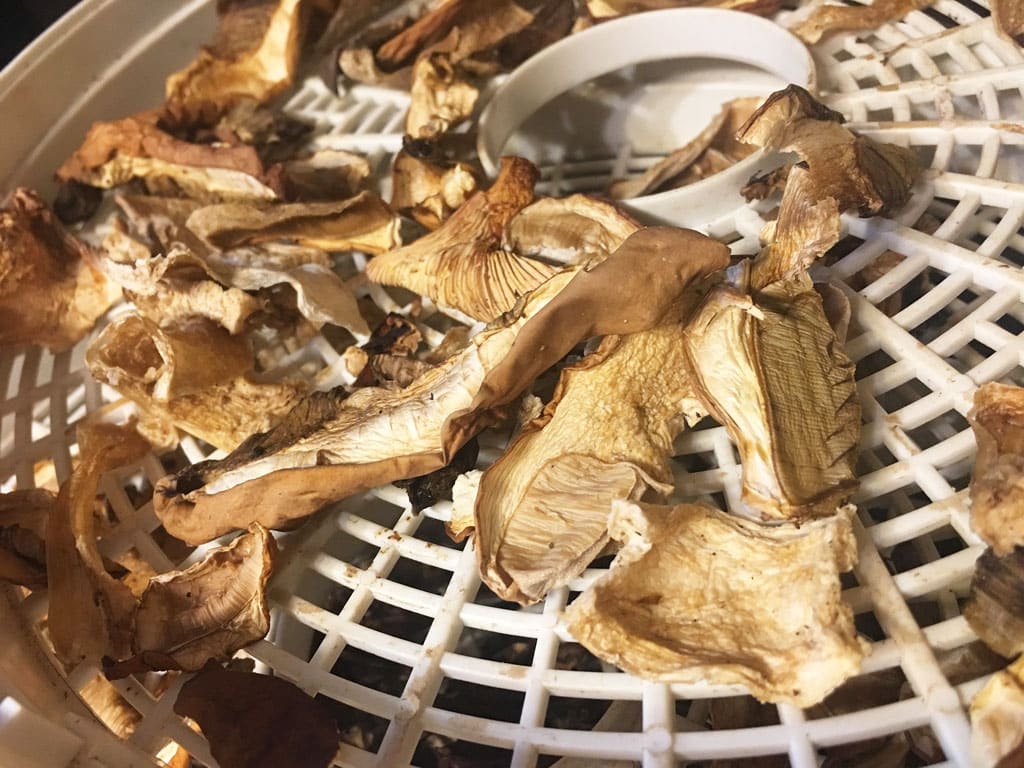 Domáce sušenie ovocia, zeleniny, byliniek, koreninových zmesí aj húb Orava SU101