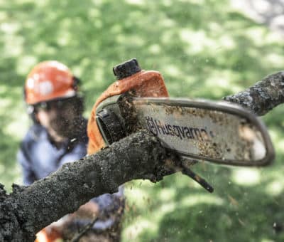 Doprajte svojej záhrade poctivú jesennú údržbu a správne zazimovanie