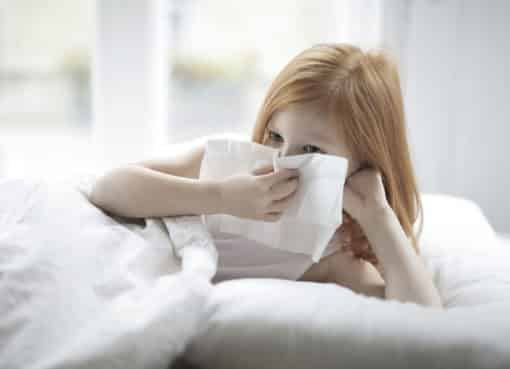 Ako sa zbaviť alergénov v byte Naučte sa s nimi bojovať, zdravie, cisty vzduch
