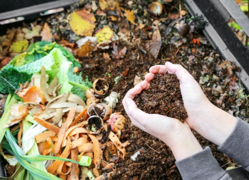 Vyrobte si prírodné hnojivá bez námahy 1 časť, exterier, zahrada, hnojivo, Kompost
