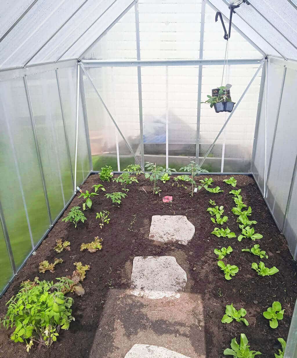 Pestovanie potravín v skleniku vlastný skleník
