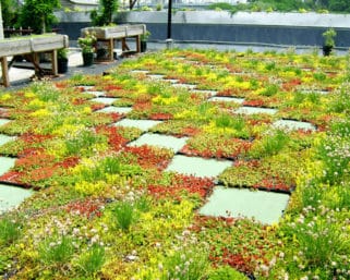 Zelené strechy – moderný trend v boji proti nedostatku vegetácie