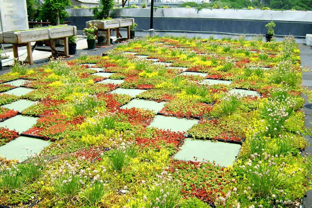 Zelené strechy