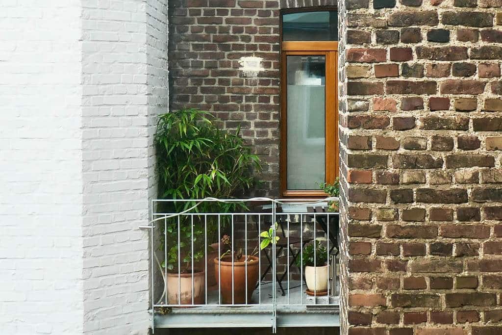 Zeleň nesmie chýbať