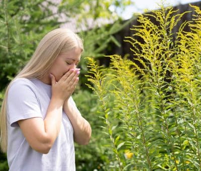 Alergény v záhrade Ktorým rastlinám sa vyhnúť a čo naopak sadiť