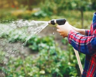 Ako ušetriť vodu doma a na záhrade?