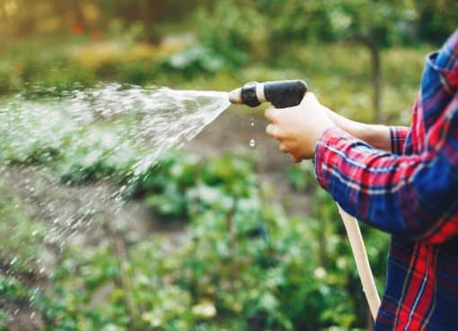 Ako ušetriť vodu doma a na záhrade