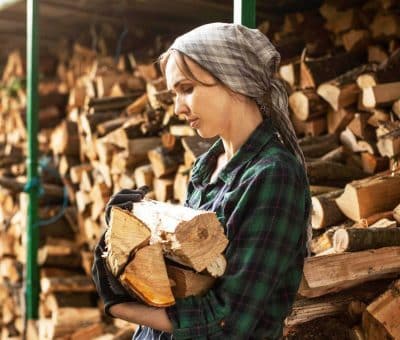Ako vybrať najlepšie palivové drevo