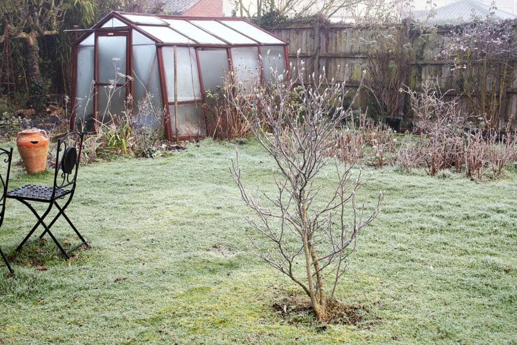 Ako zazimovat zahradku zazimovanie záhrady