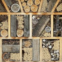 Vyrobte si doma hmyzí hotel