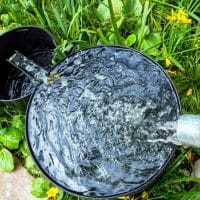 Využitie dažďovej vody v zahrade