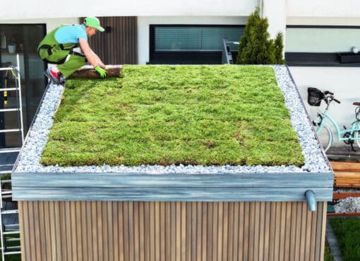 Zelené strechy sú lepšou mikroklímou a teraz aj s dotáciou!