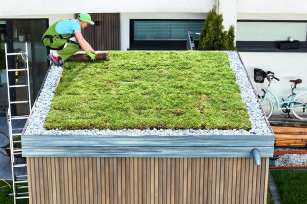 Zelené strechy sú lepšou mikroklímou a teraz aj s dotáciou!