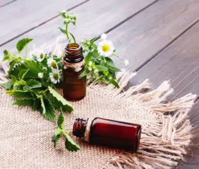 Fytoterapia. Návrat k prírode a jej liečivým silám