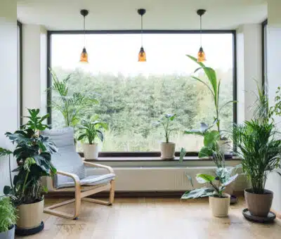 Príroda v interiéri: Biofilický dizajn objavte jeho čaro