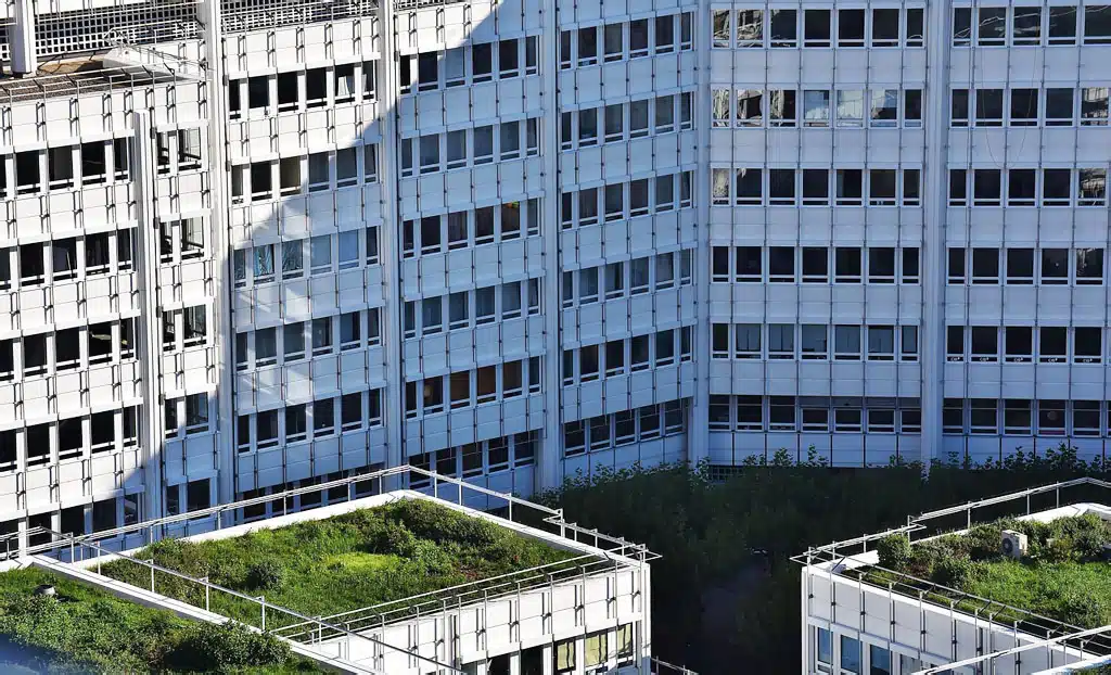 Zelene strechy zníženie teploty v mestách