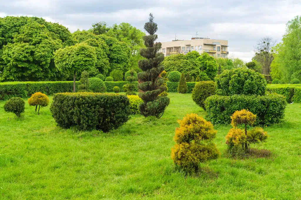 Vznikajú komunitné záhrady, verejné zelené nádvorie