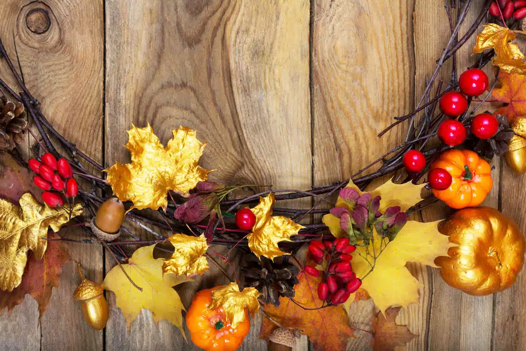 Prírodné poklady zo záhrady a lesa