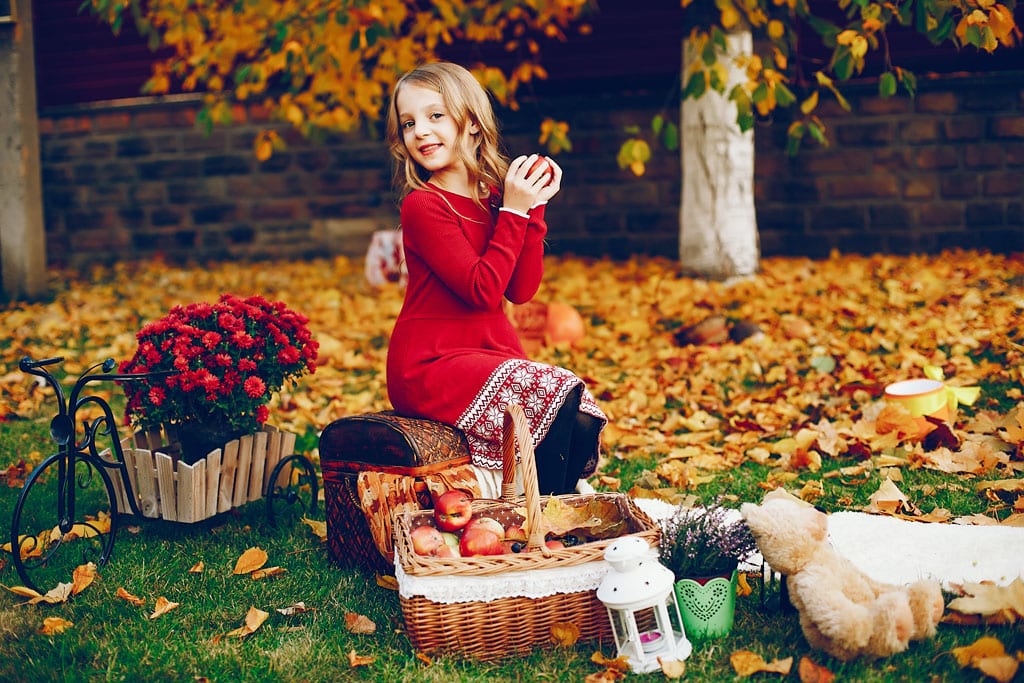 Tajný život záhrad Skrýše a poklady pod jesenným lístím