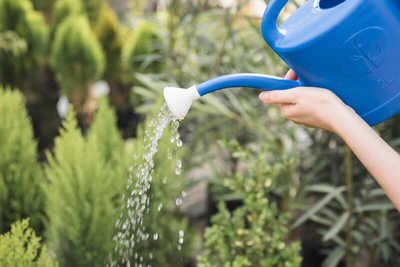 close up female watering plants with blue can